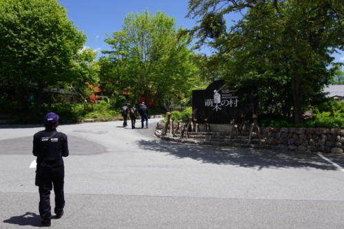 萌木の村 ROCKで昼食です