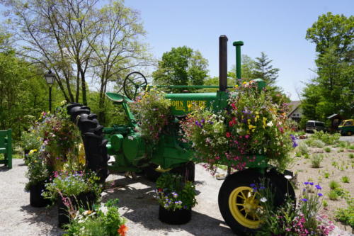 今回は昼食をとるだけでしたが、ちょっとしたテーマパークみたいです