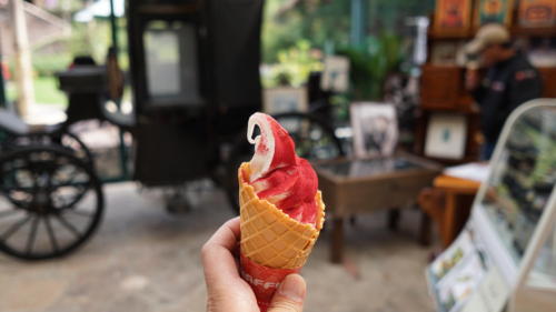 ライダーの栄養はコレですね