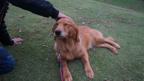 本日の主役です