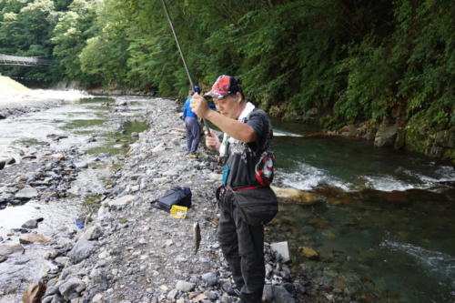 釣れました(=ﾟωﾟ)ﾉ 
