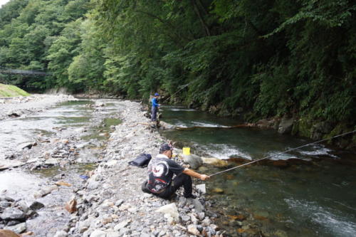 レインボートラウトは釣れるのだろうか・・