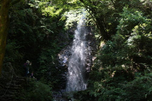 大きい滝では無いものの、良い雰囲気でした