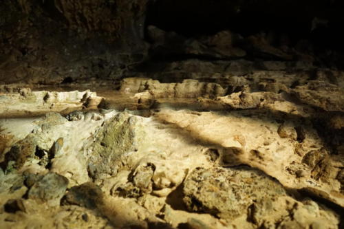 珍しい風景もありました