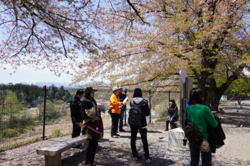 こんな庭のようなトコロがありました