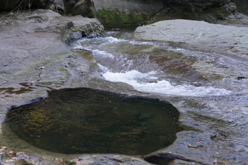 謎の深い穴・・誰かを突き落としてみたい