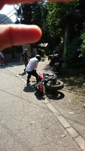 なにやら真似をしたくなったようで